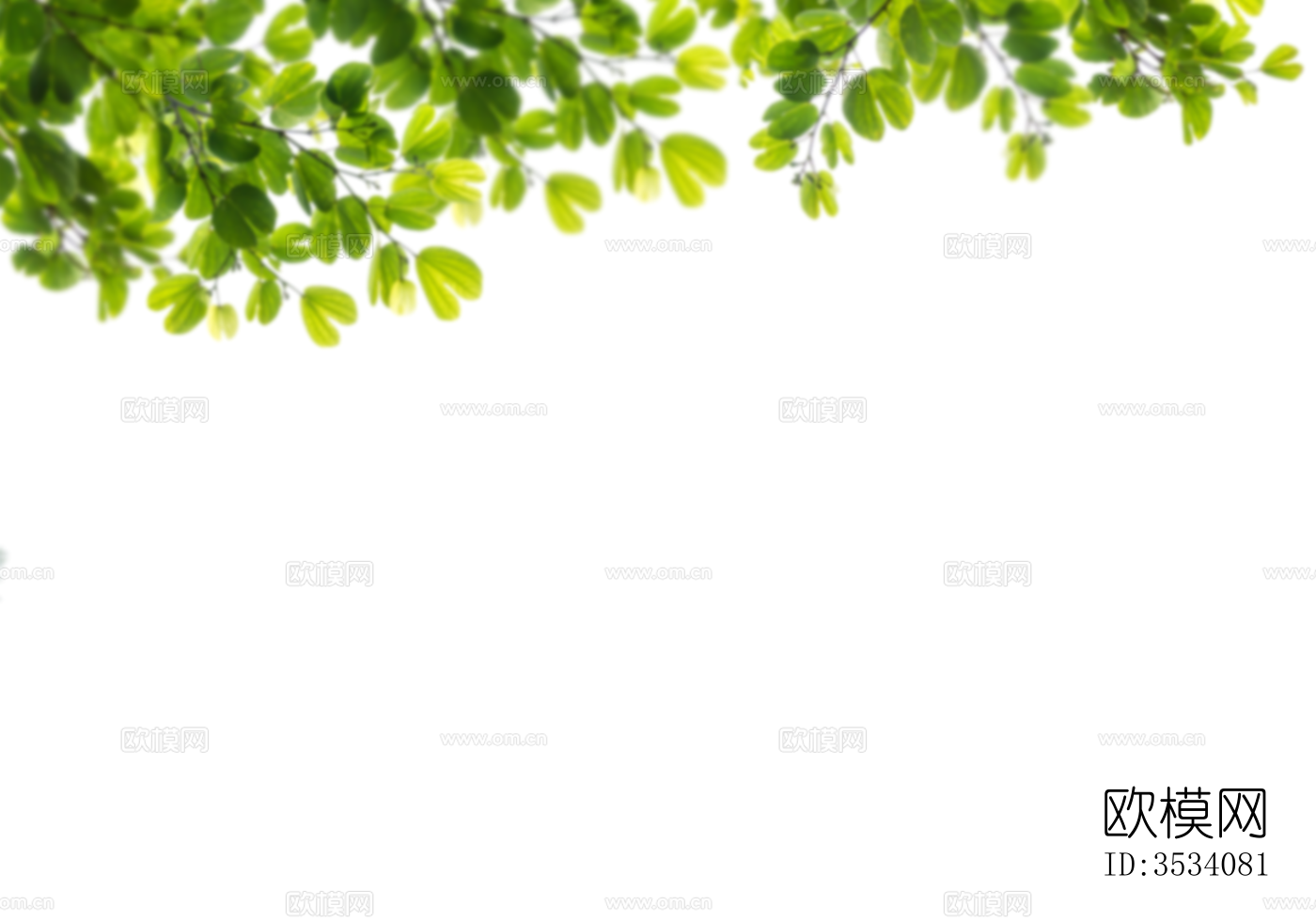 免扣素材 常绿乔木 装饰树叶下载