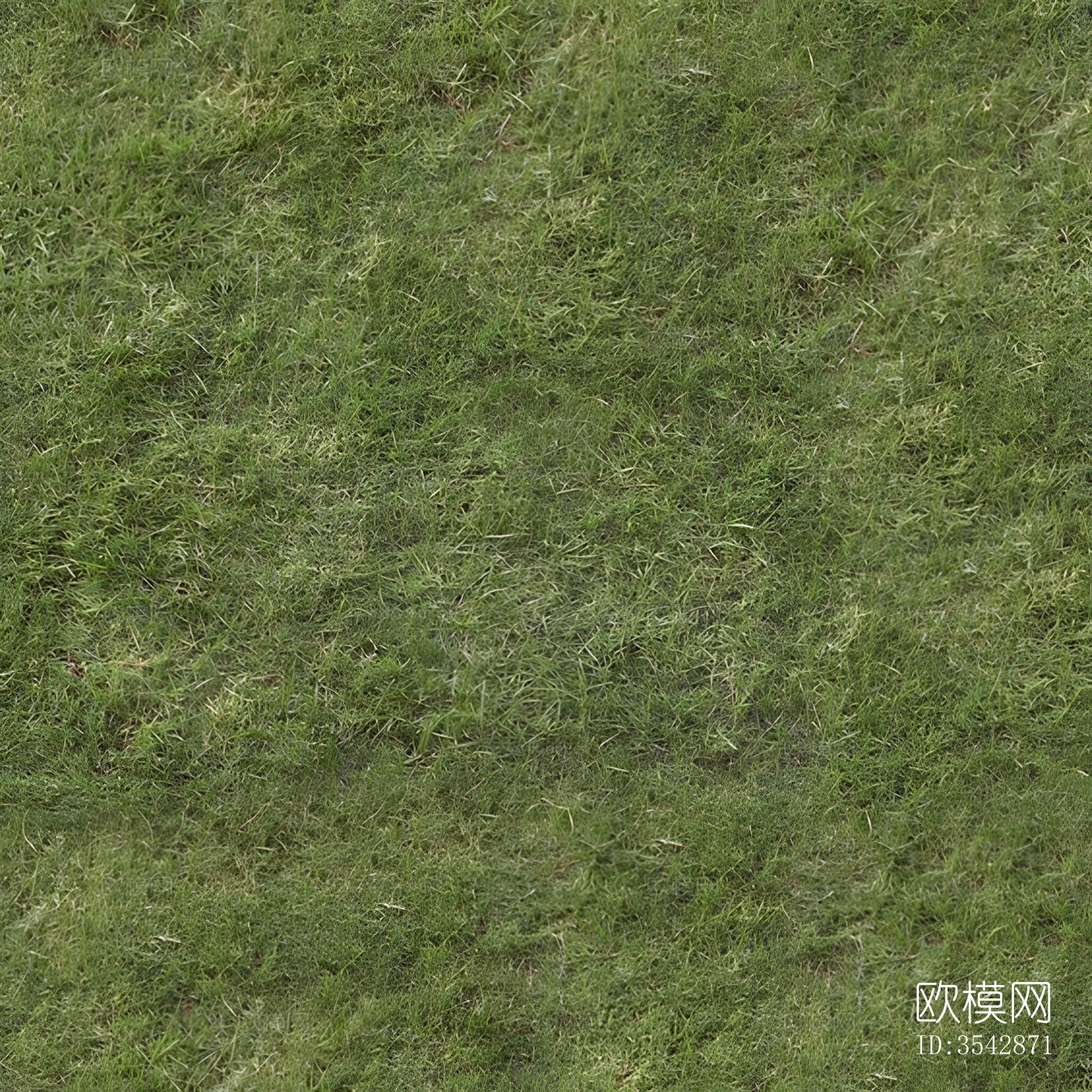 草地下载