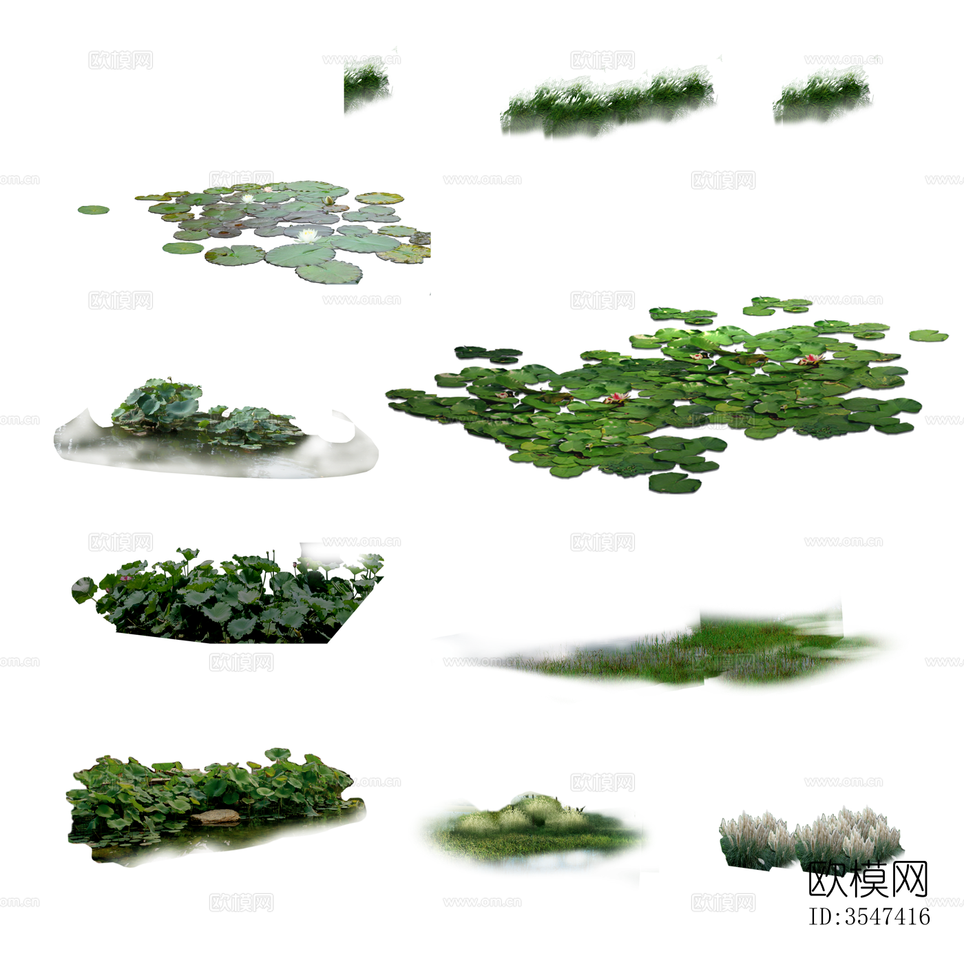 水生植物睡莲荷花psd免抠 荷花 绿色荷叶荷花 睡莲下载