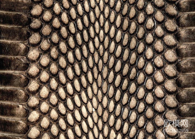 蛇皮现代皮革纹理皮图案布艺 壁纸 肌理 高清 贴图下载（渲染图1）