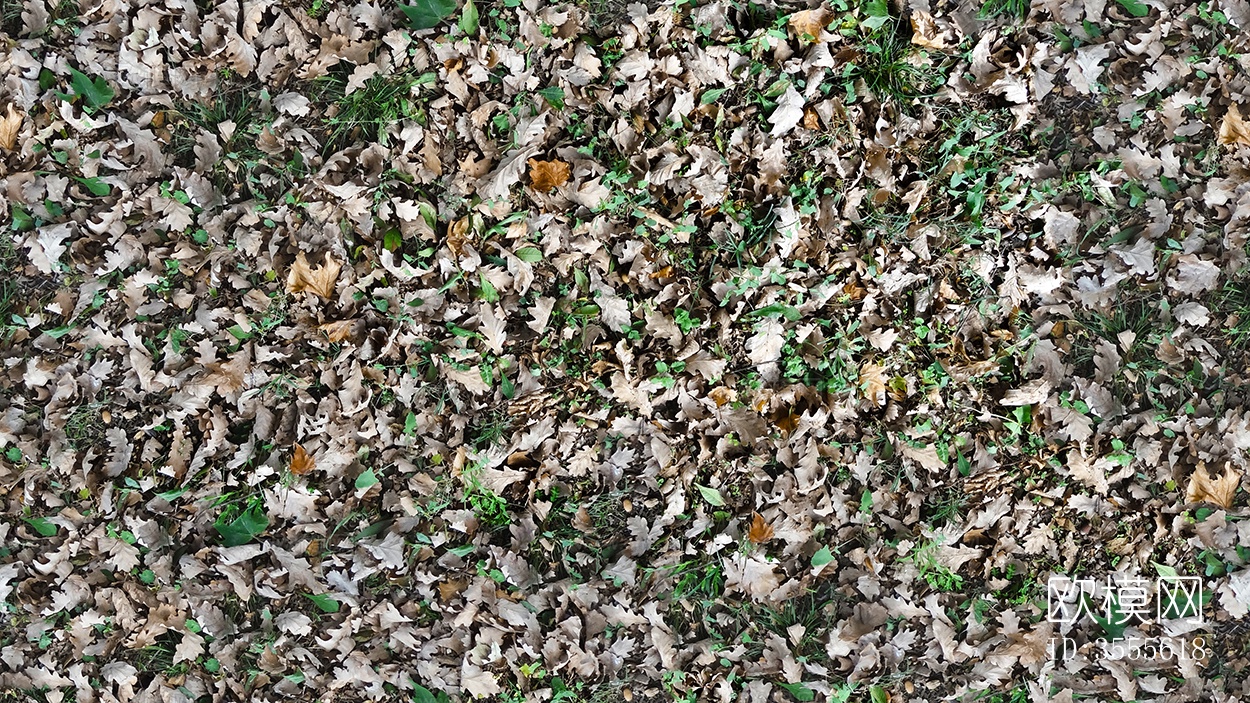 无缝枯枝落叶草皮草地草坪地面下载