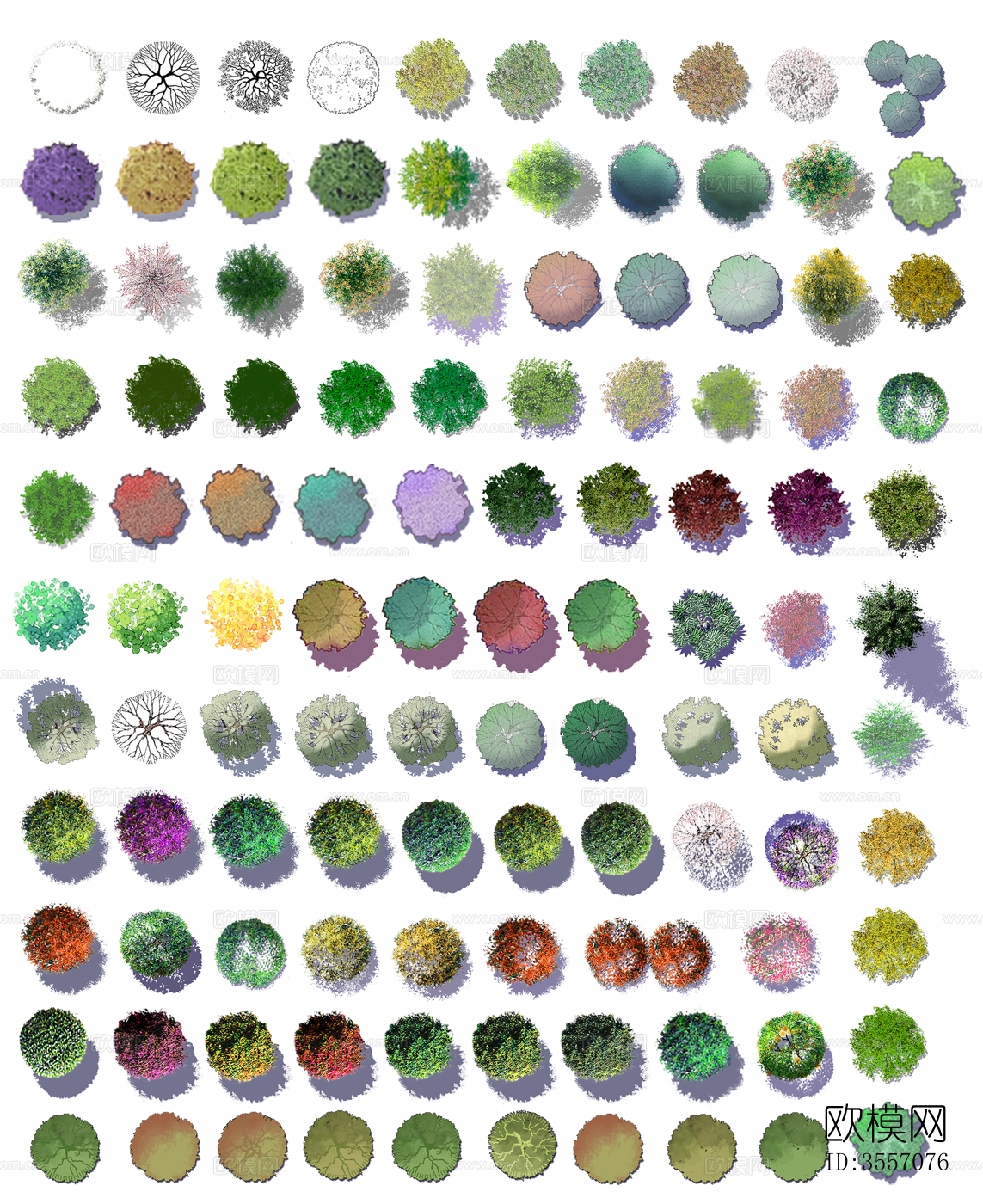 psd免抠小清新平面植物彩平面图下载