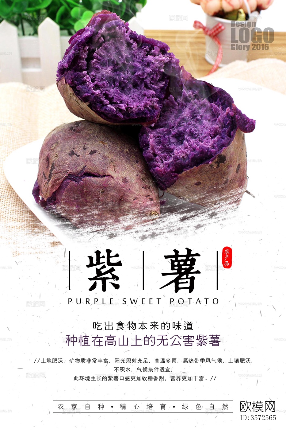 绿色食品海报农场有机生态营养新鲜水果蔬菜宣传海报下载