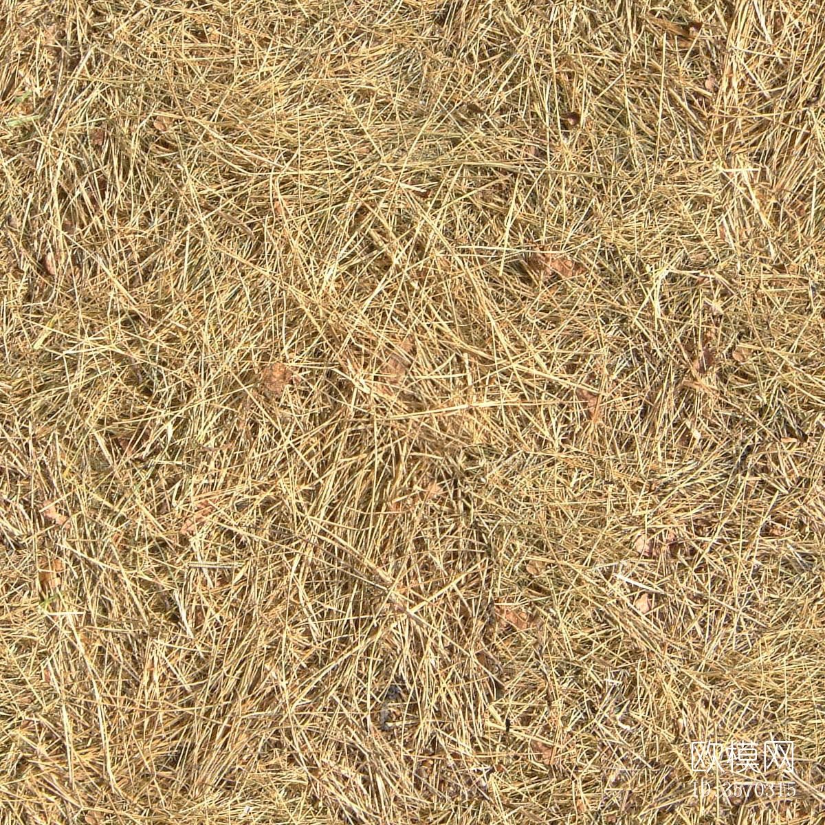 无缝黄色稻草贴图下载