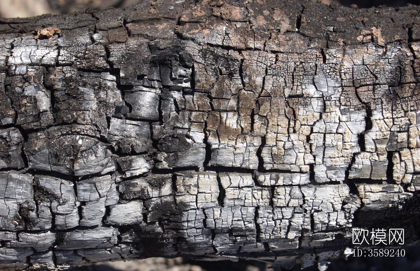 木材-燃烧过的木梁10张贴图下载（渲染图4）