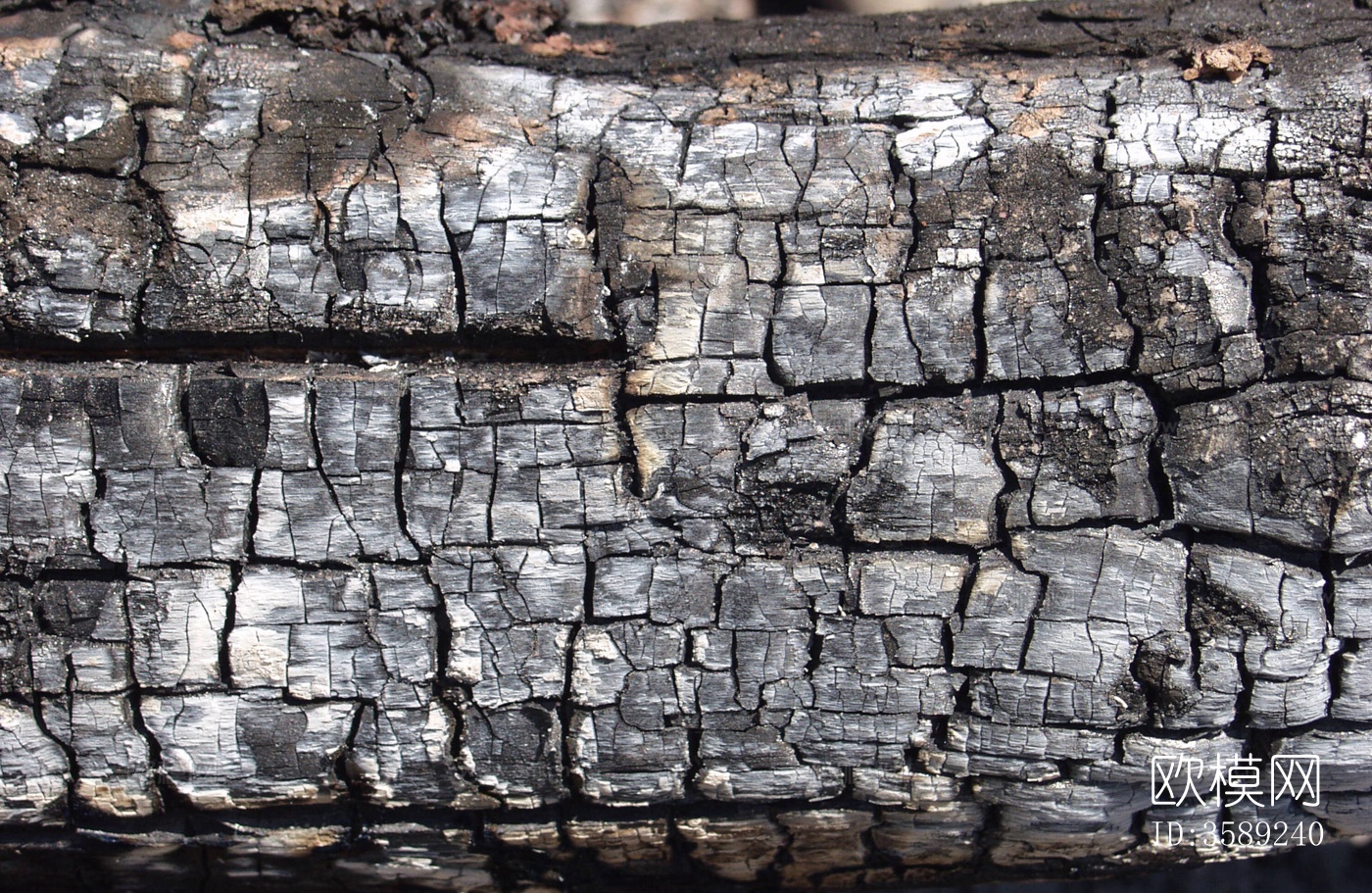 木材-燃烧过的木梁10张贴图下载（渲染图2）