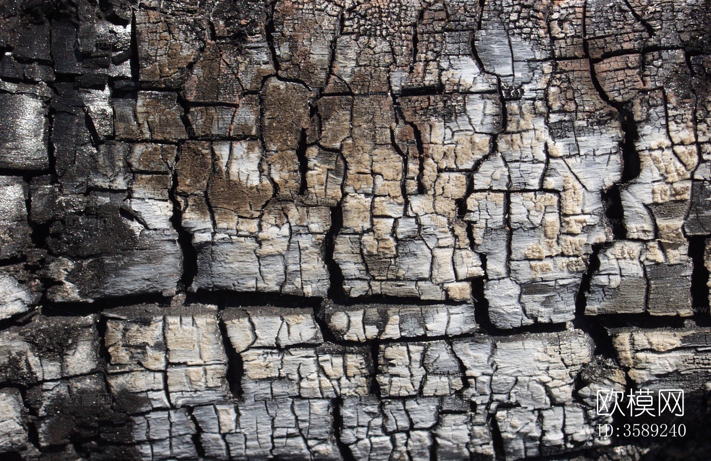 木材-燃烧过的木梁10张贴图下载（渲染图1）