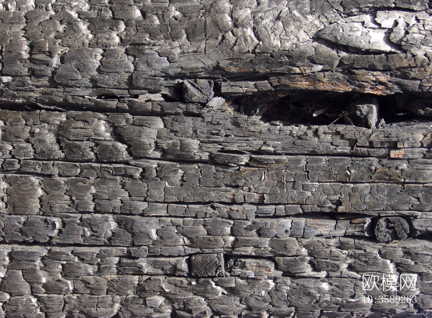 木材-燃烧过的10张贴图特写镜头下载（渲染图8）