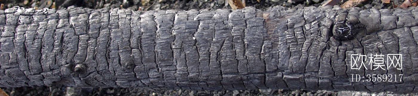 木材-燃烧过的木梁10张贴图下载（渲染图2）