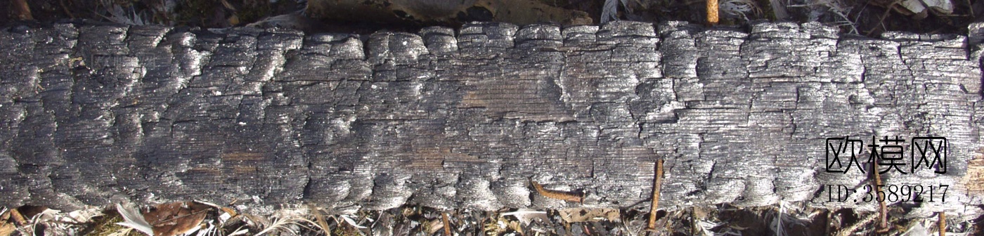 木材-燃烧过的木梁10张贴图下载（渲染图8）