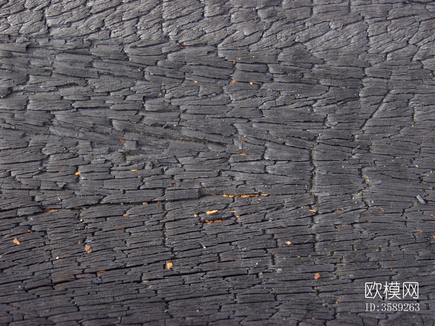 木材-燃烧过的10张贴图特写镜头下载（渲染图3）