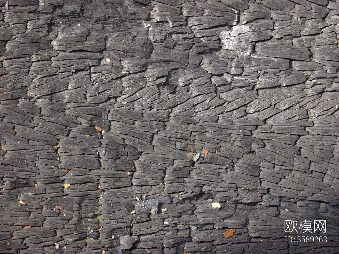 木材-燃烧过的10张贴图特写镜头下载（渲染图10）