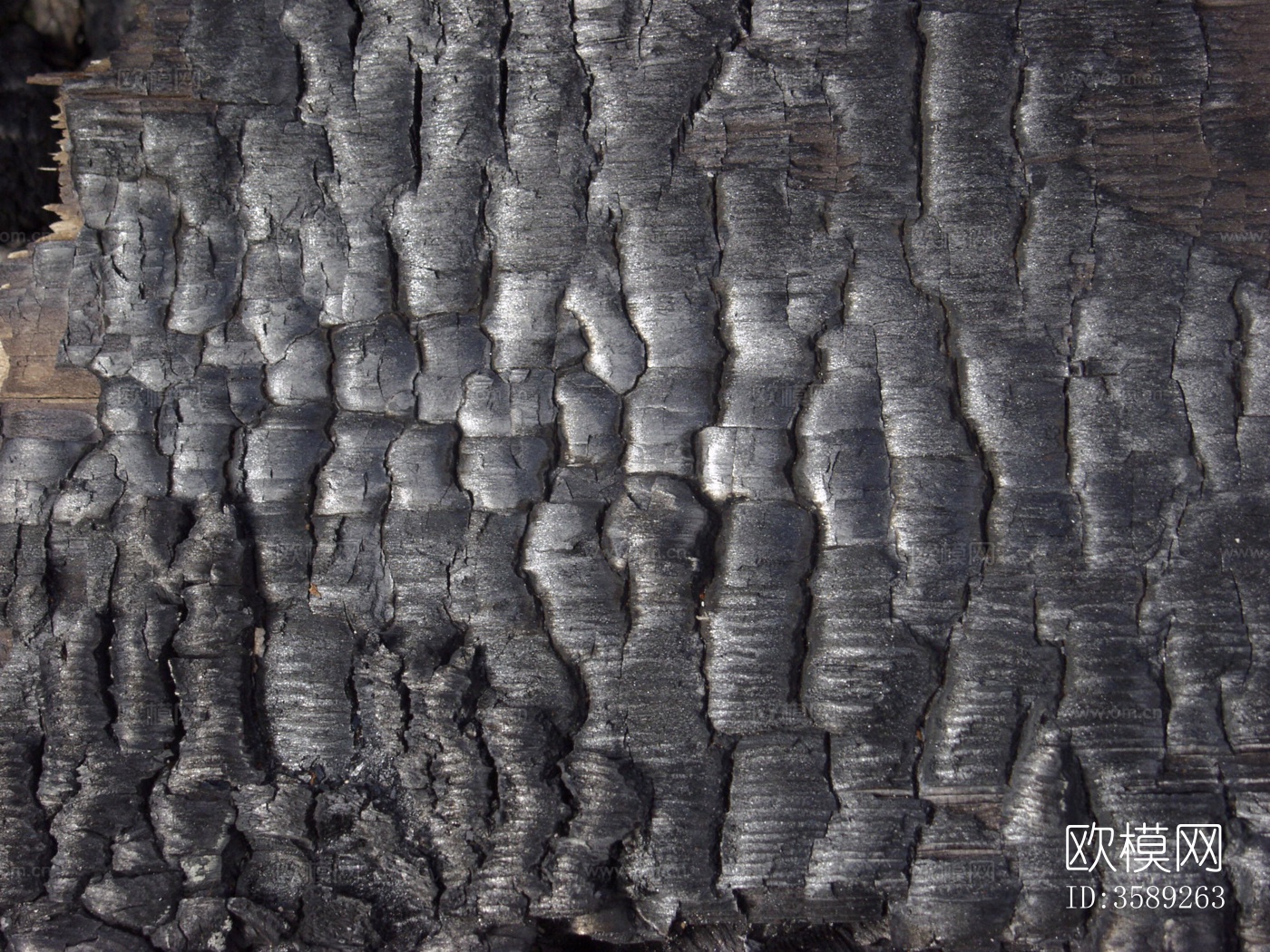 木材-燃烧过的10张贴图特写镜头下载（渲染图6）