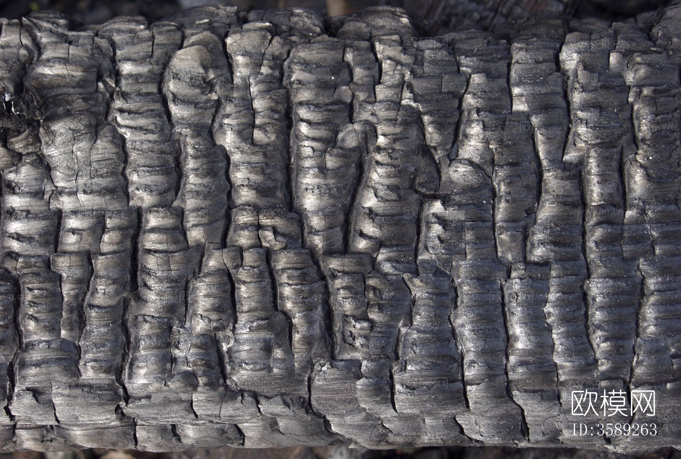 木材-燃烧过的10张贴图特写镜头下载（渲染图1）