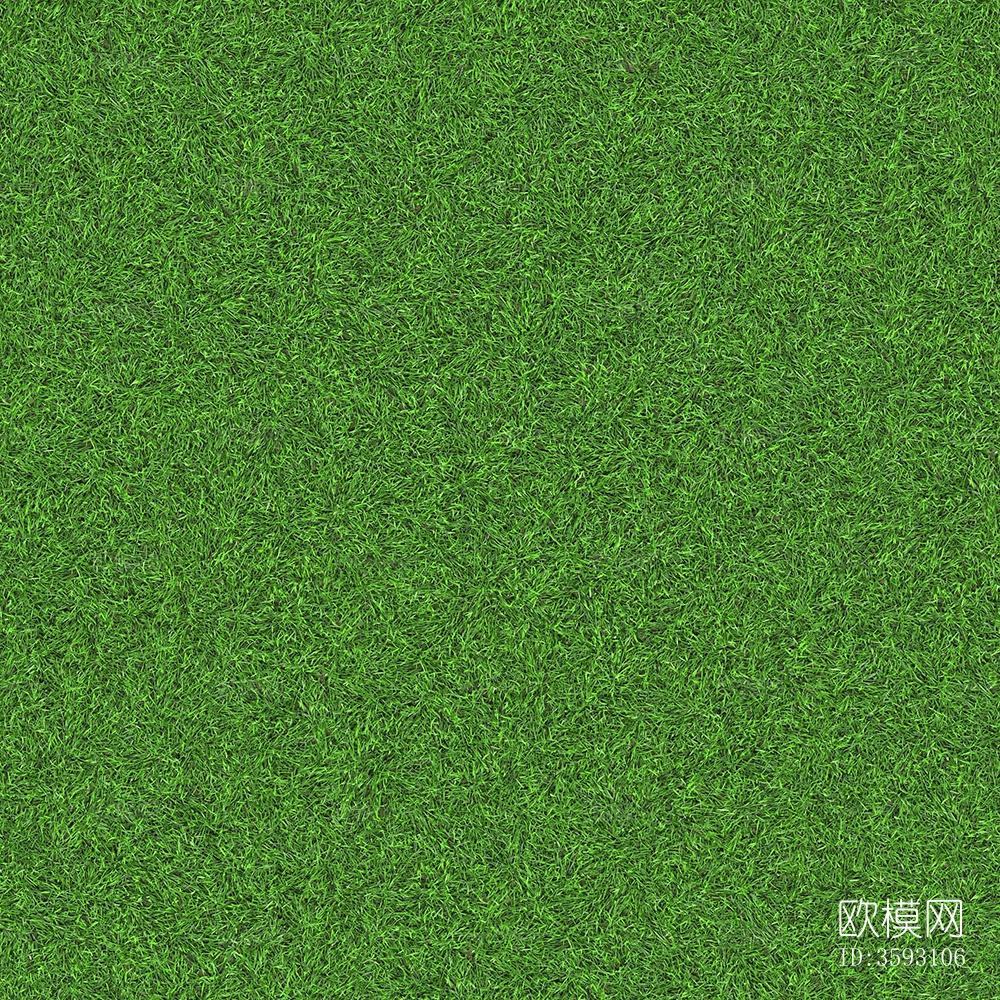 室外自然草皮草坪草地下载