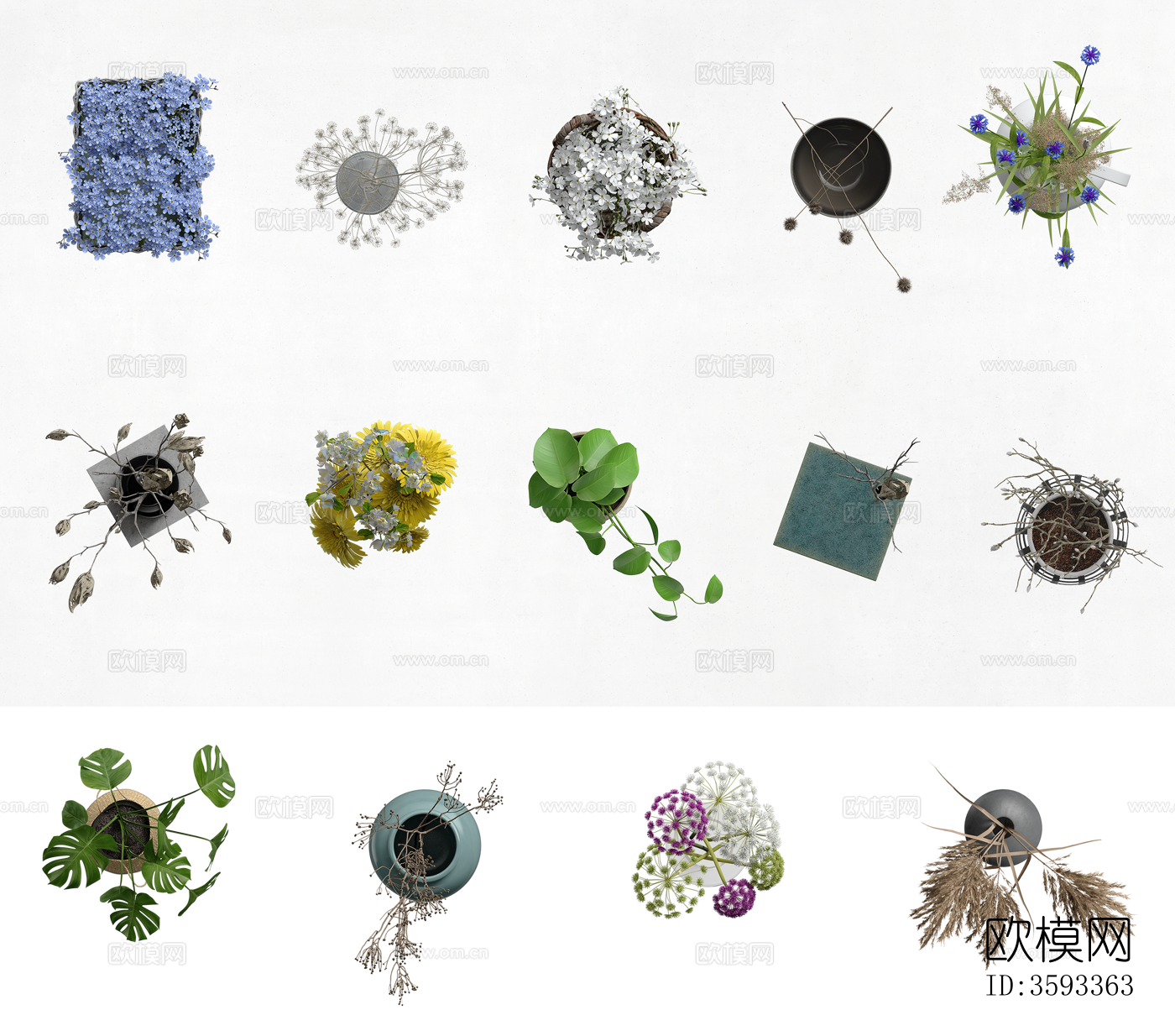 png免抠彩平平面植物顶视图下载