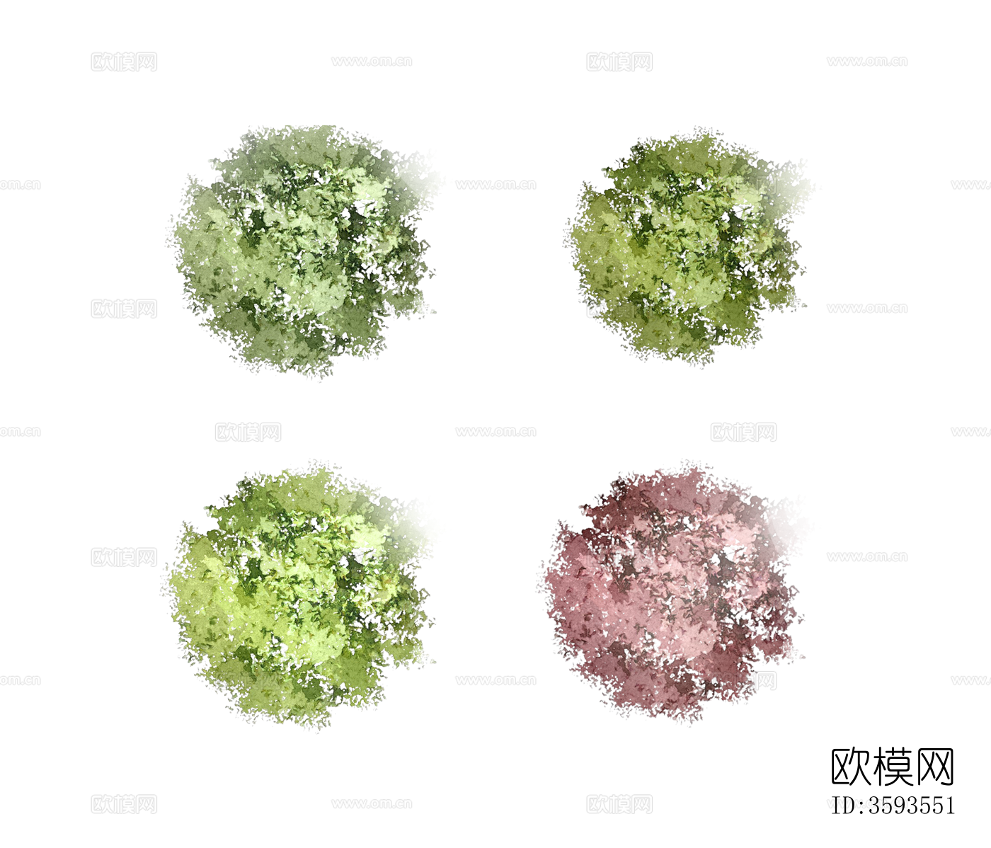 PNG免抠彩平面小清新植物下载