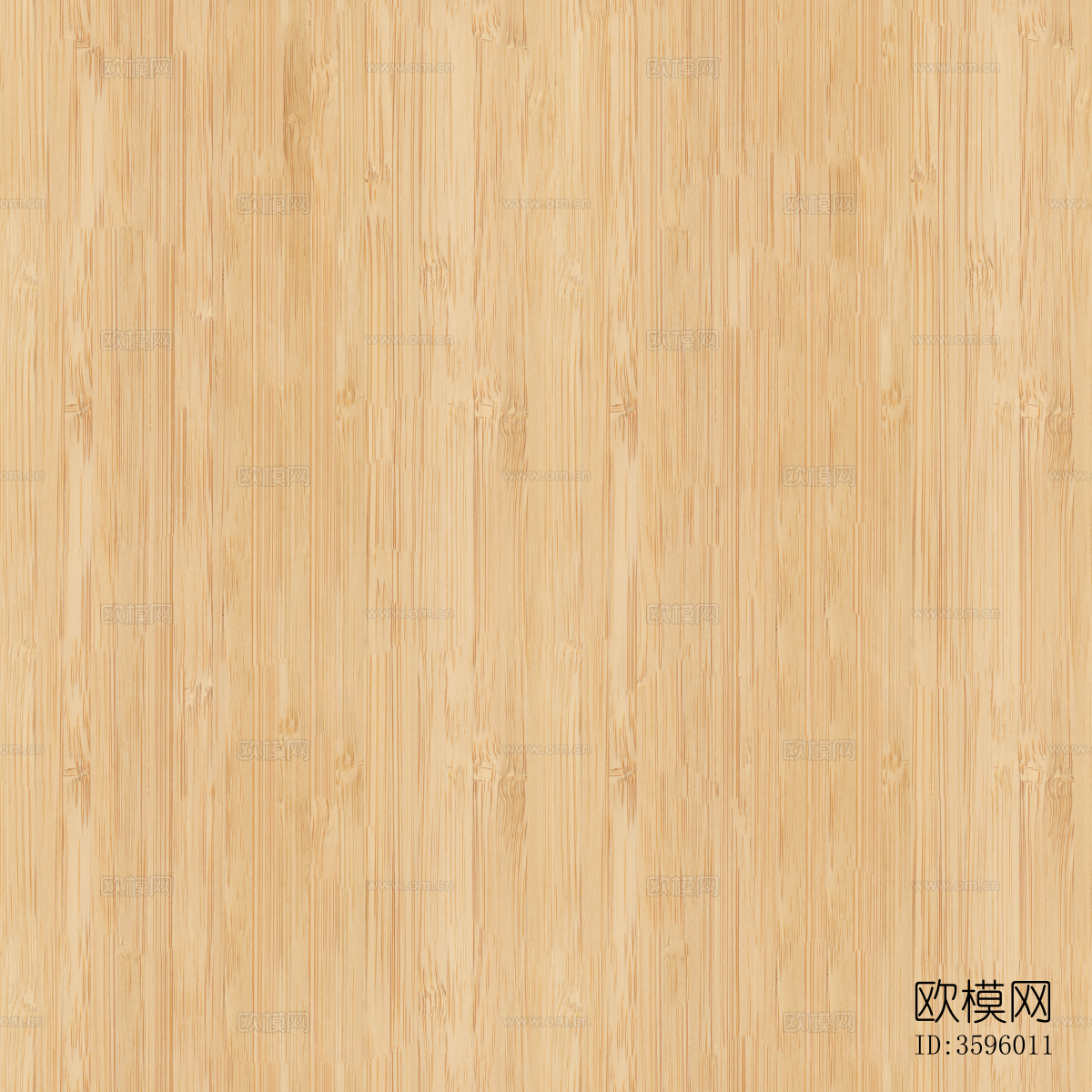 无缝竹压板_竹纹贴图 (2)下载