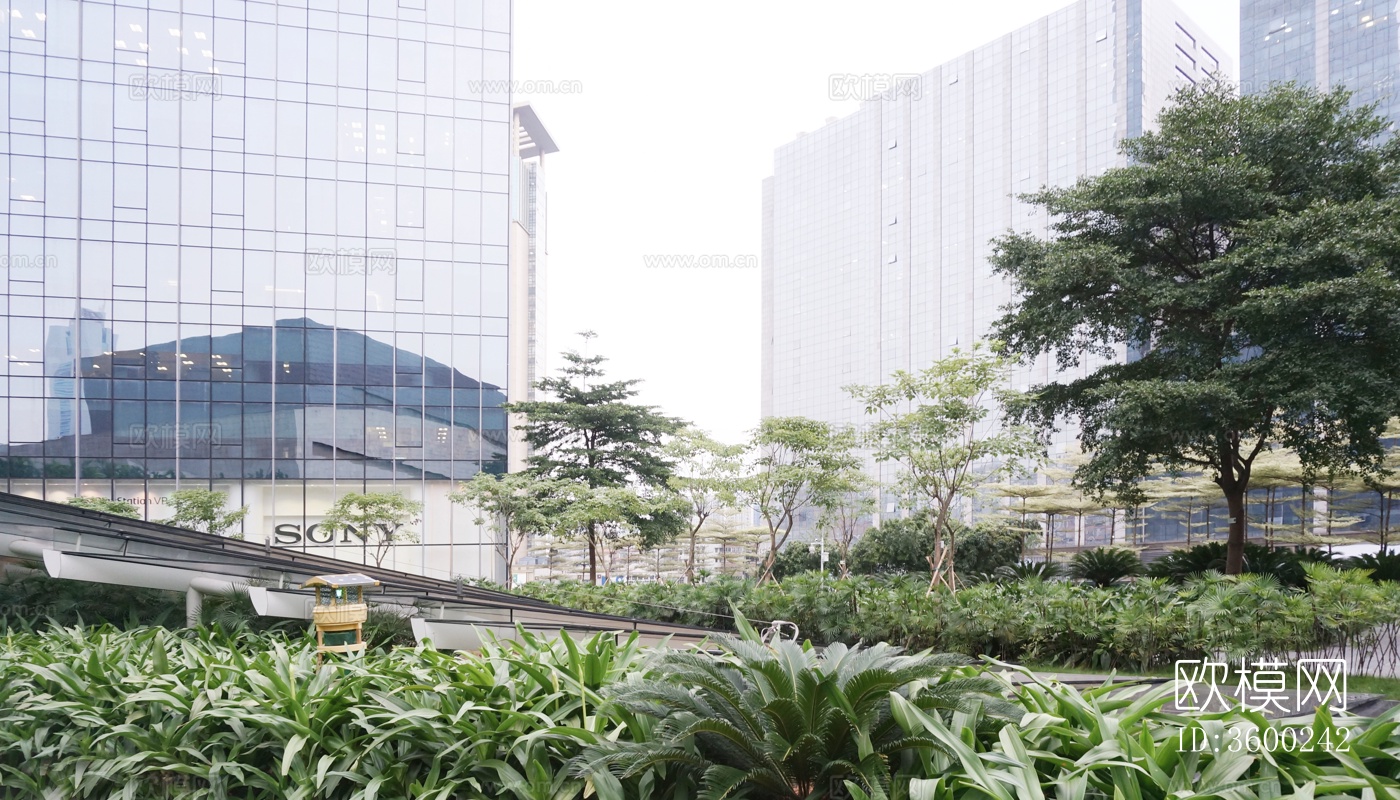 白天城市景观下载