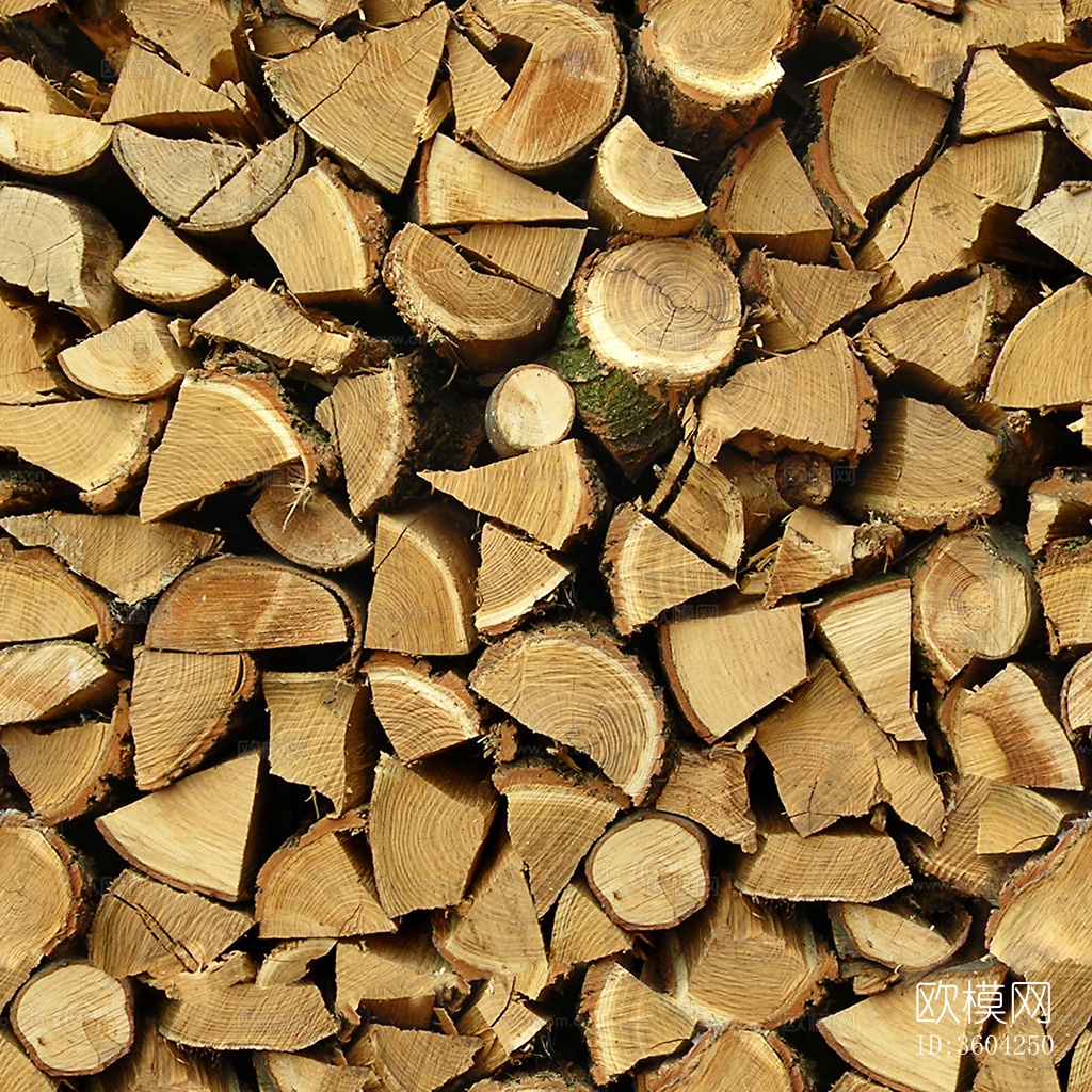 无缝木材原木截面纹理下载