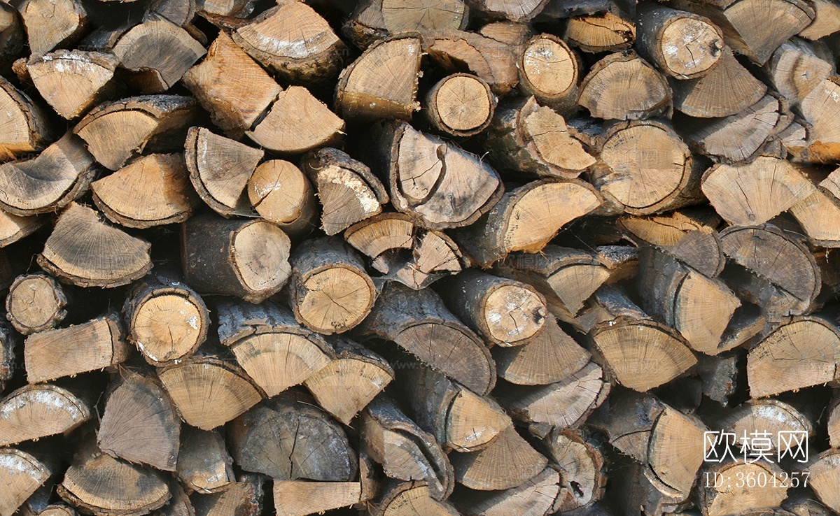 无缝木材原木截面纹理下载