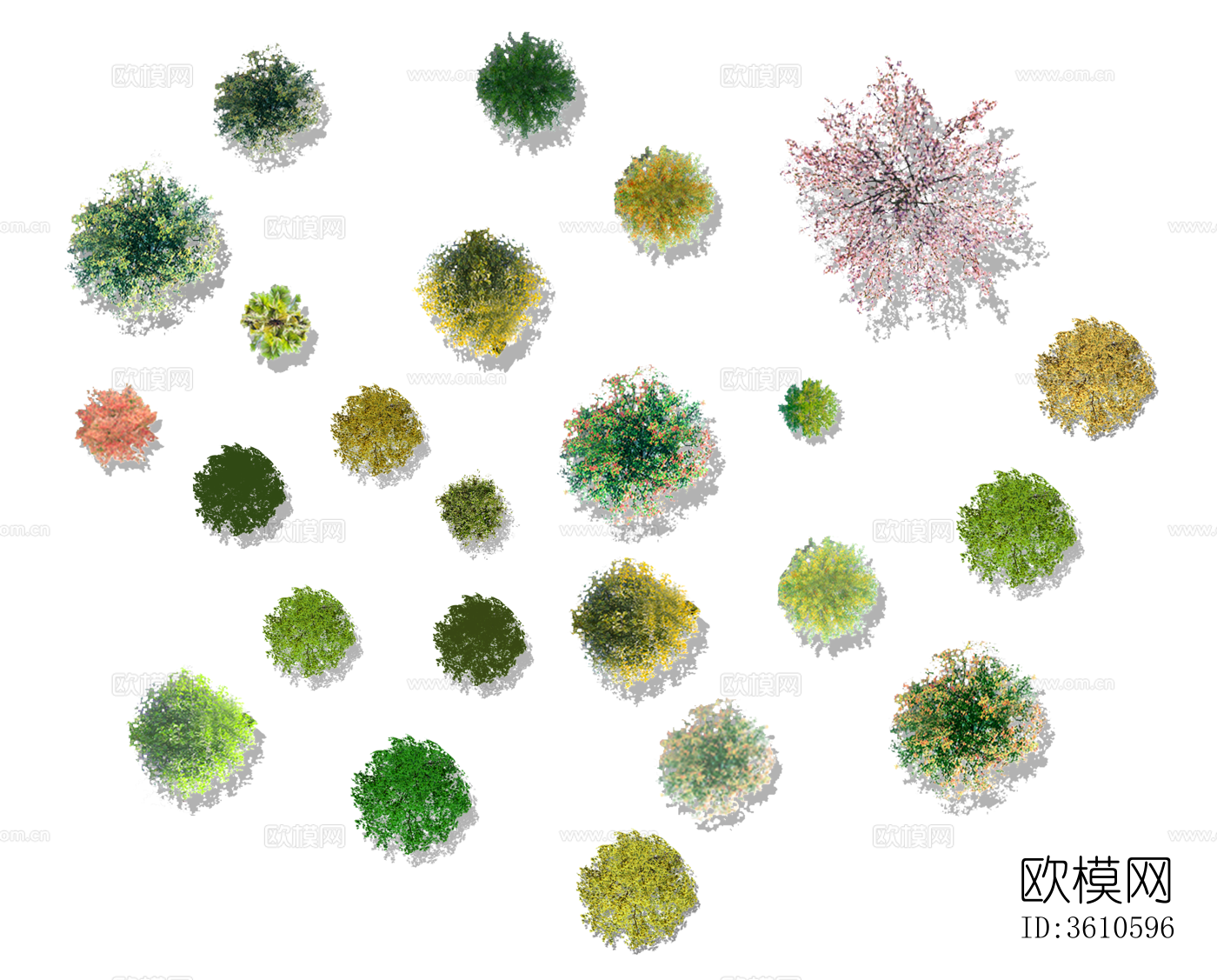 png免抠小清新景观植物彩平图下载