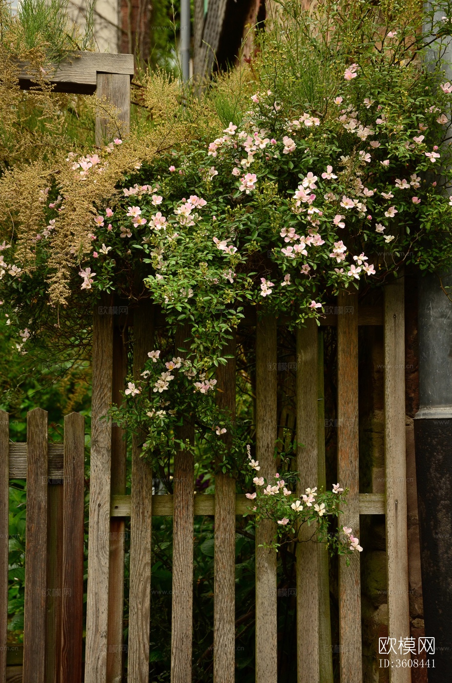 欧洲乡村风景 欧洲建筑别墅图下载