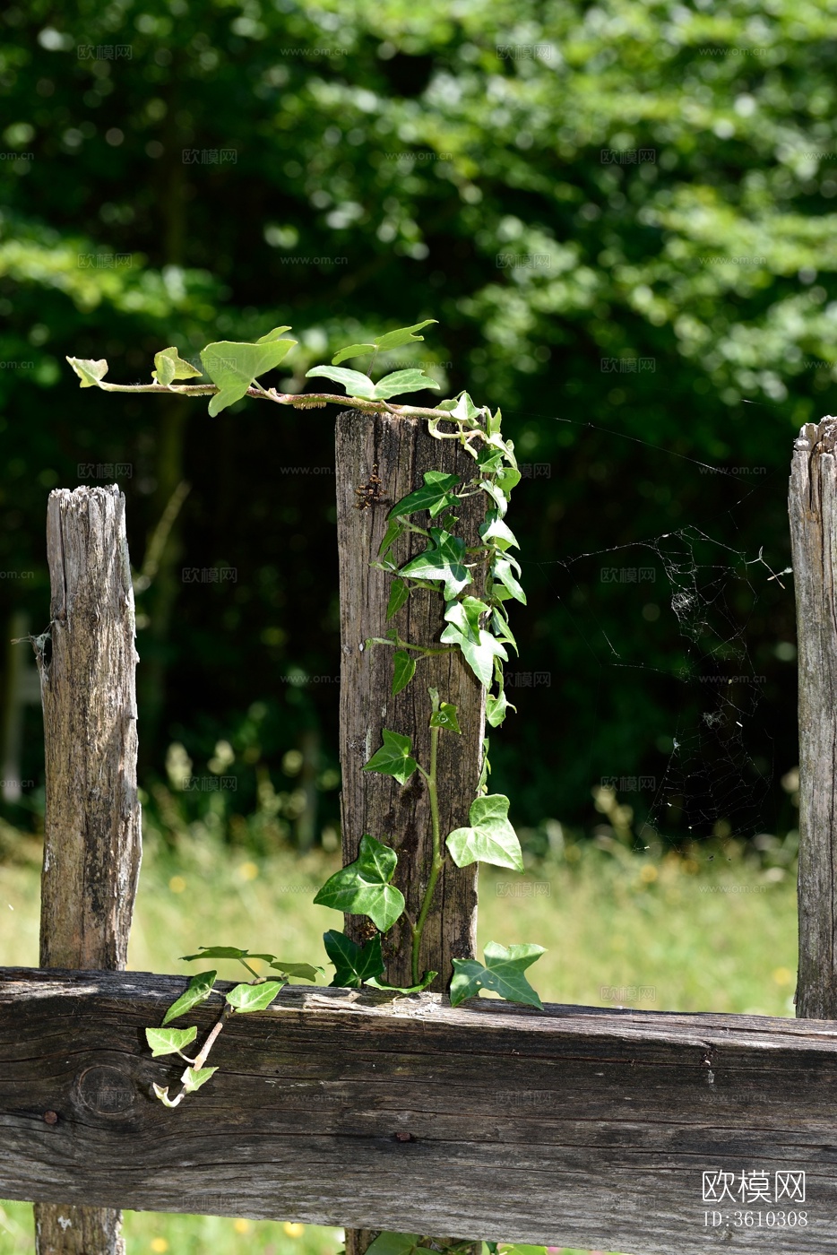 欧洲乡村风景 欧洲建筑别墅图下载