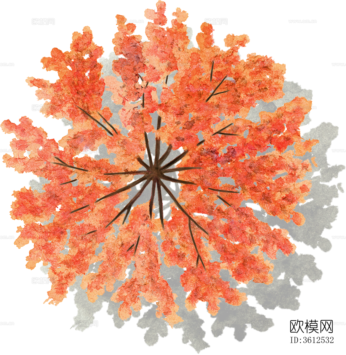 psd免抠小庭院景观植物彩平图下载