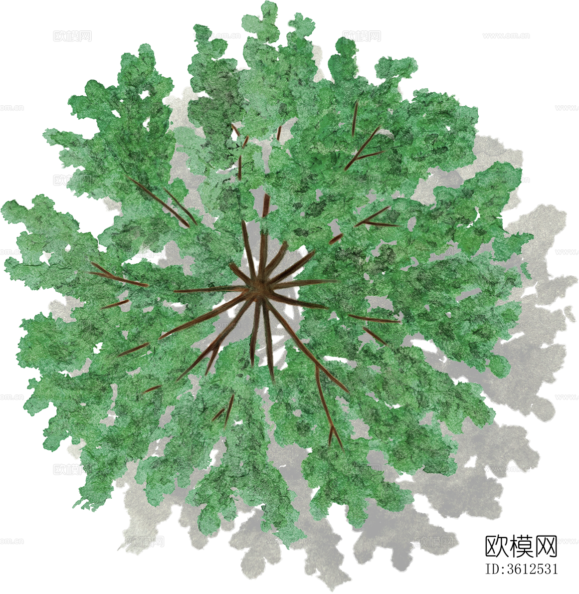 png免抠小清新彩平景观植物下载