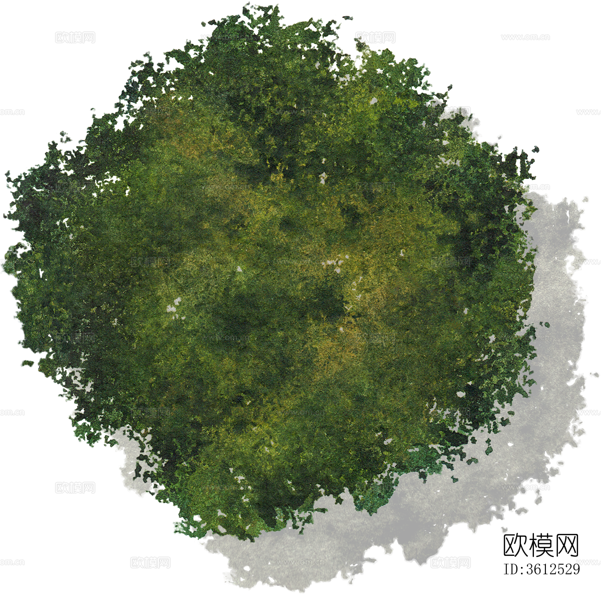 psd免抠小庭院景观植物彩平图下载