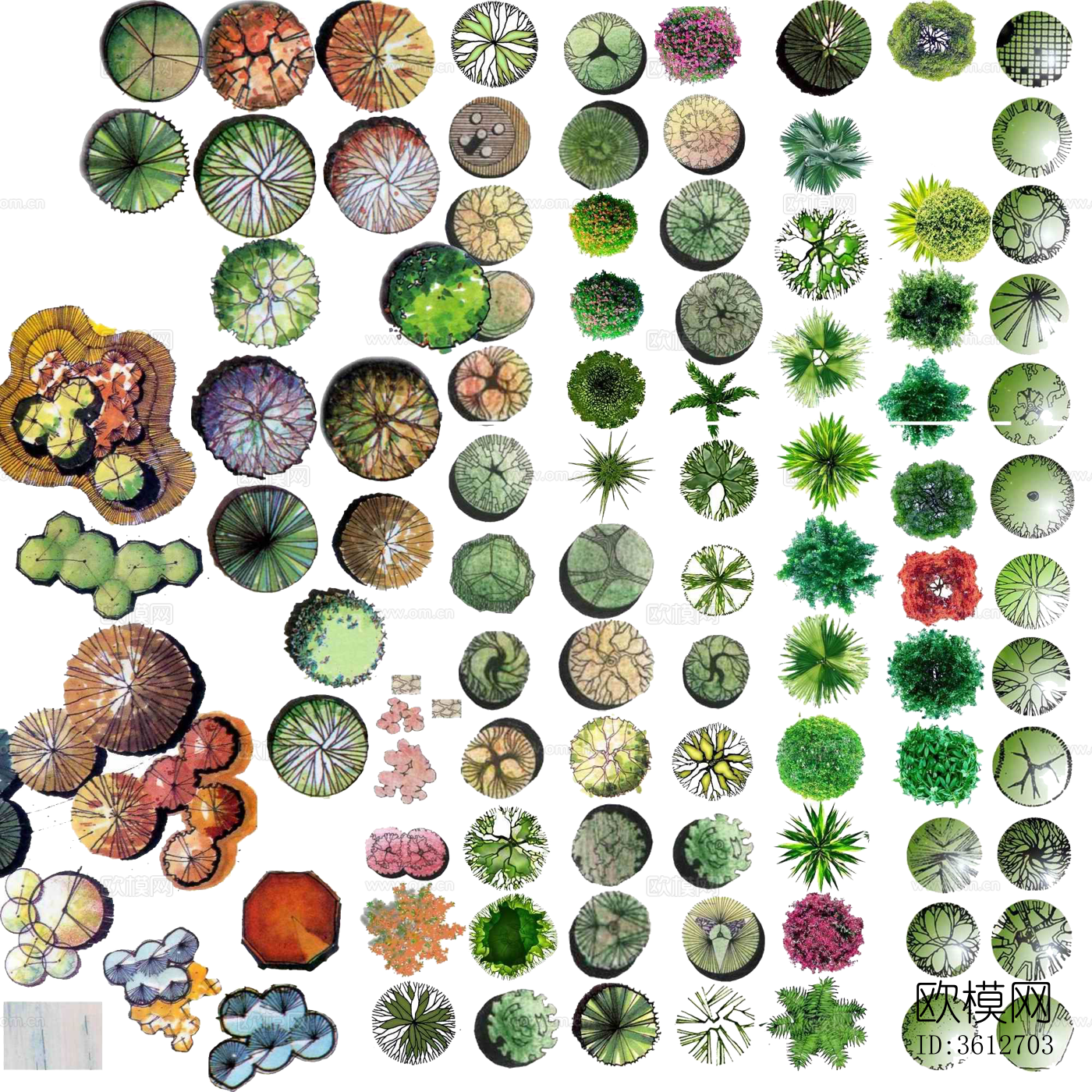 psd免抠竞赛风公园植物彩平图下载