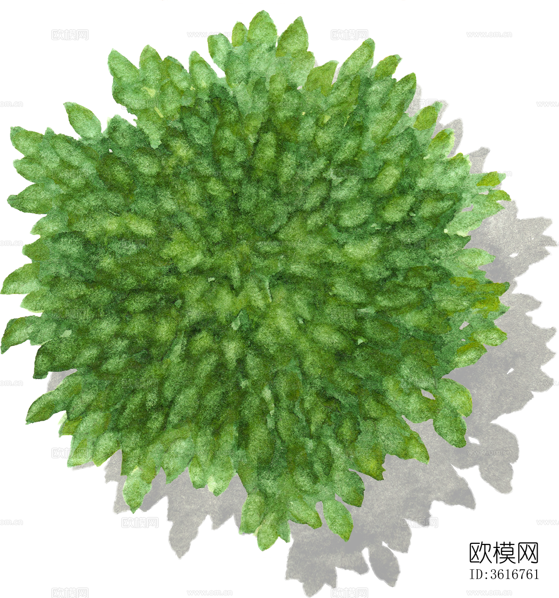 psd免抠竞赛风公园彩平植物下载