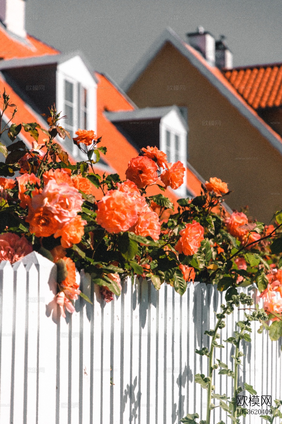 欧洲乡村风景 欧洲建筑别墅图下载