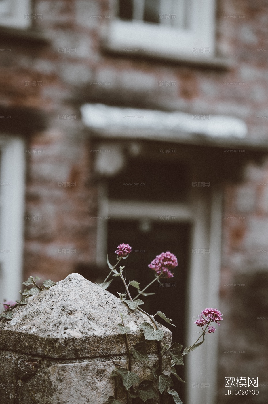 欧洲乡村风景 欧洲建筑别墅图下载