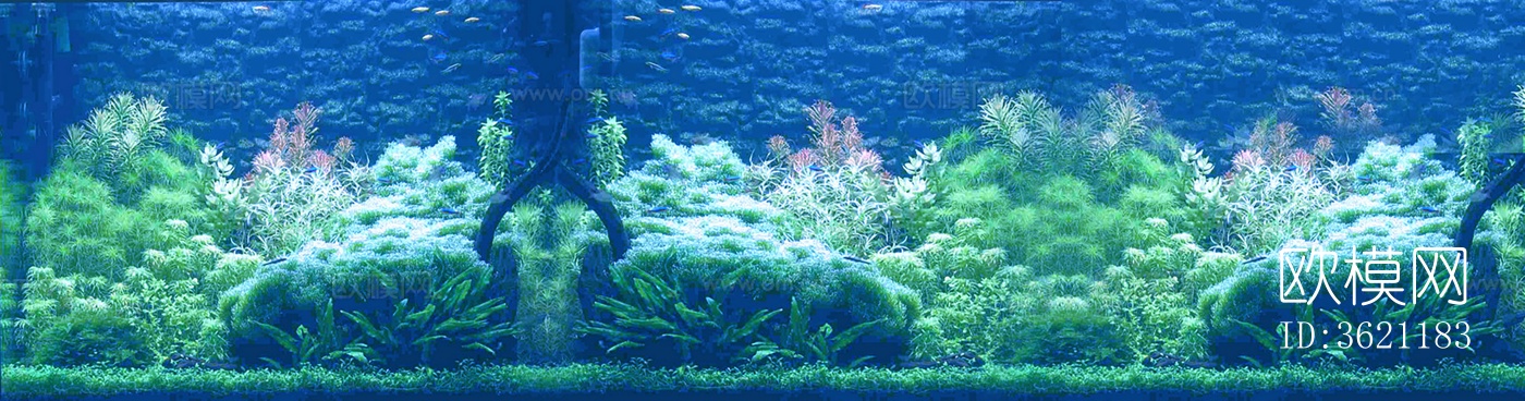 鱼缸珊瑚水草小鱼下载