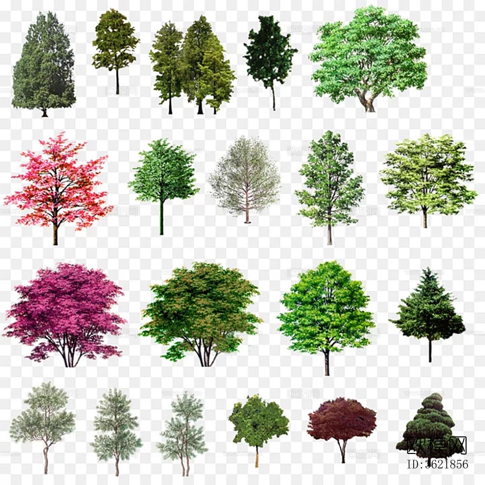 现代灌木 乔木 树干下载