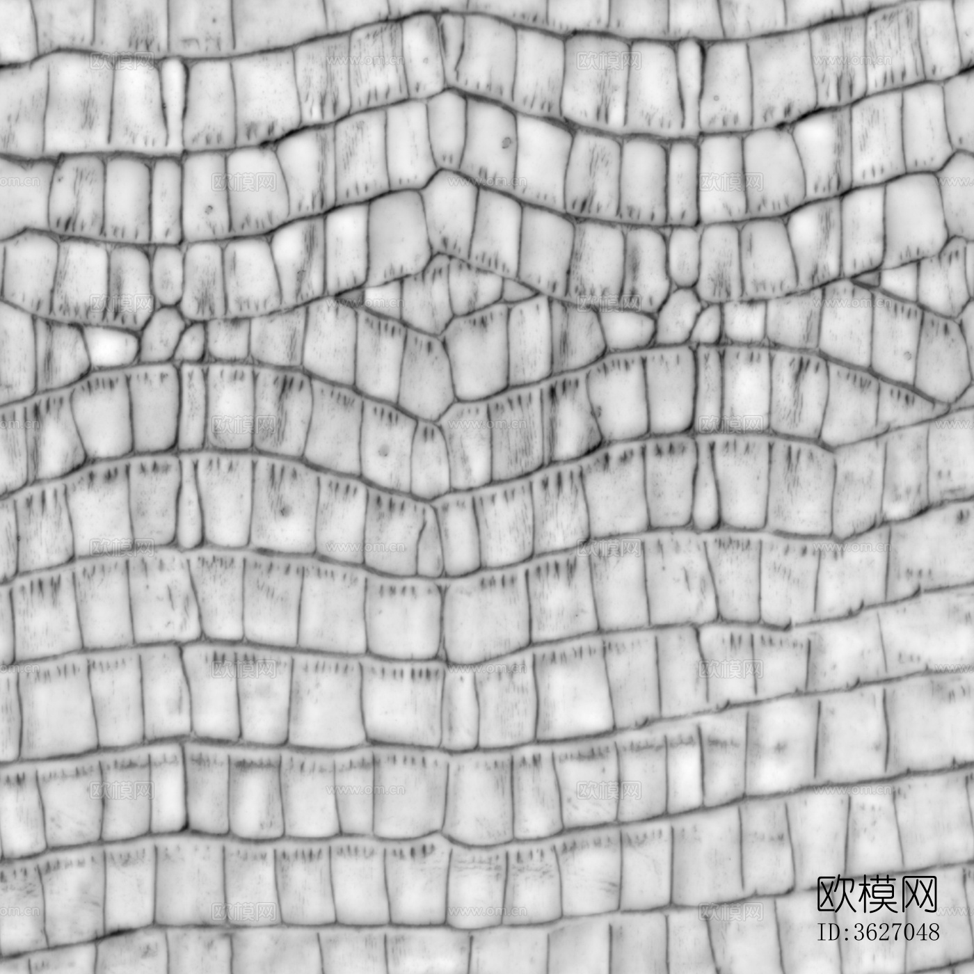 灰色鳄鱼皮革下载