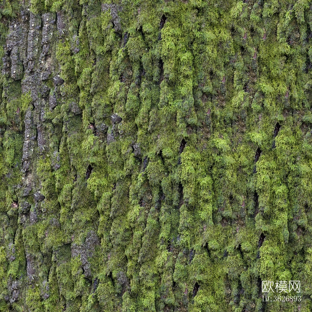 无缝庭院园林苔藓草坪草皮草地岩石地面墙面下载