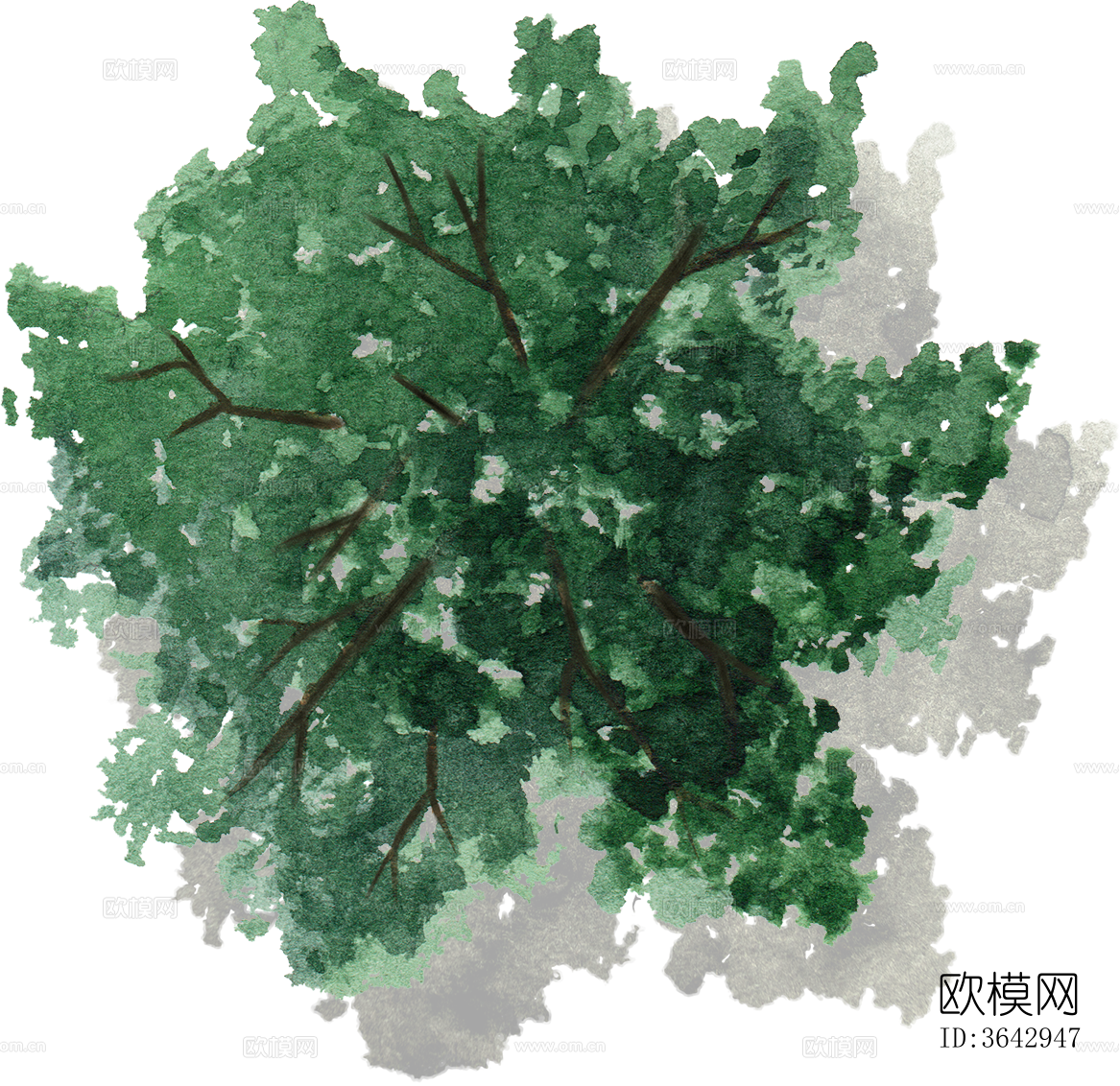 png免抠小清新彩平景观树 景观彩平植物下载