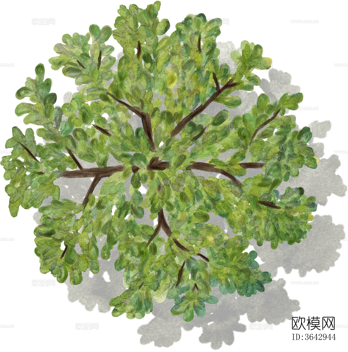 png免抠小清新彩平景观树 景观彩平植物下载