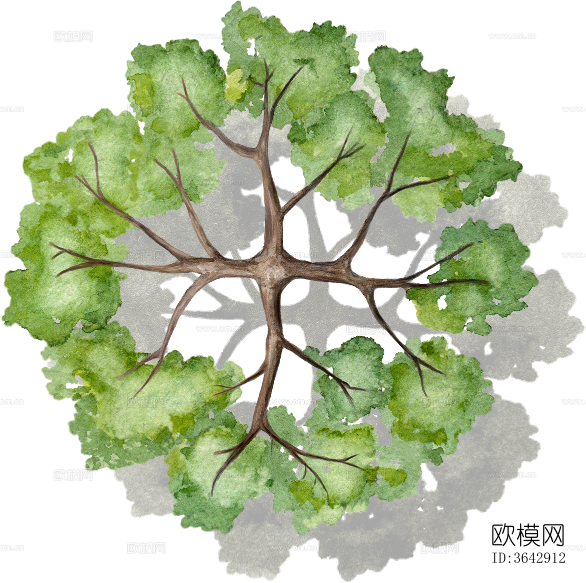 PNG免抠竞赛风公园彩平植物下载