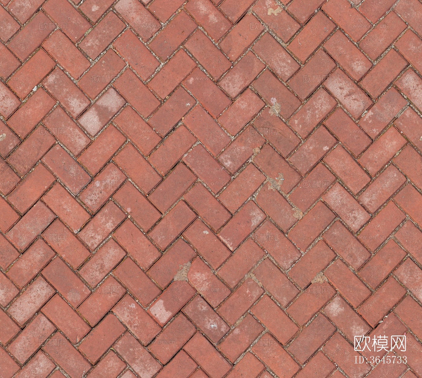 现代人行道砖 户外砖 水泥砖 透水砖 广场砖下载