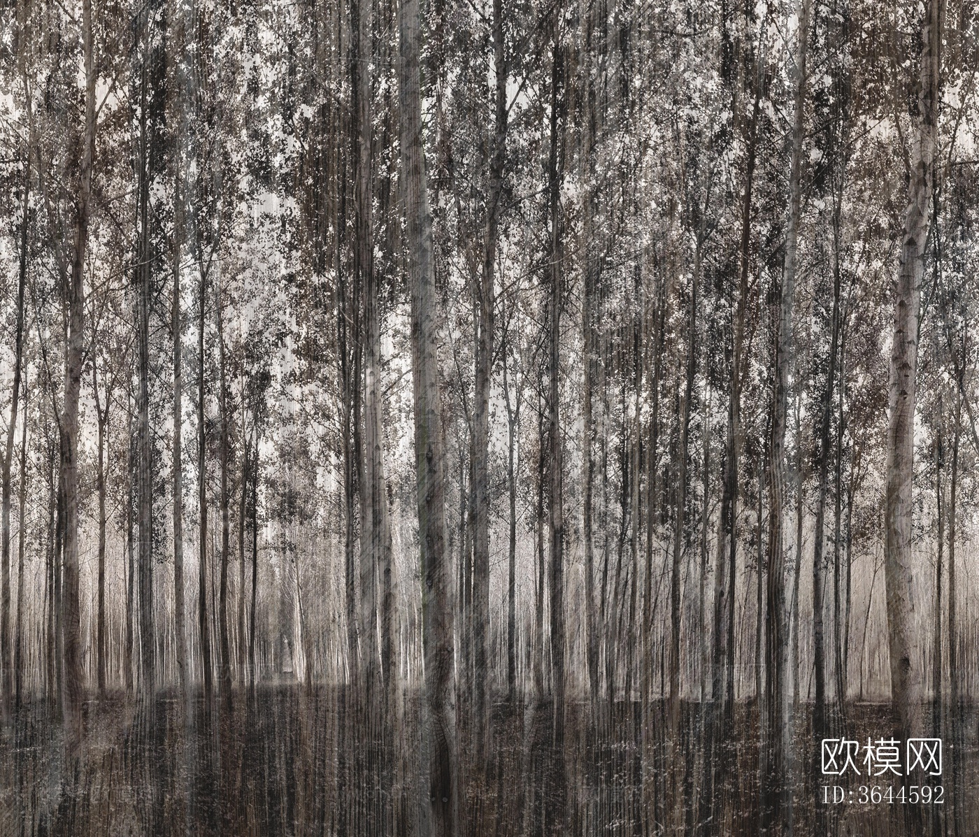 棕灰色植物壁纸下载