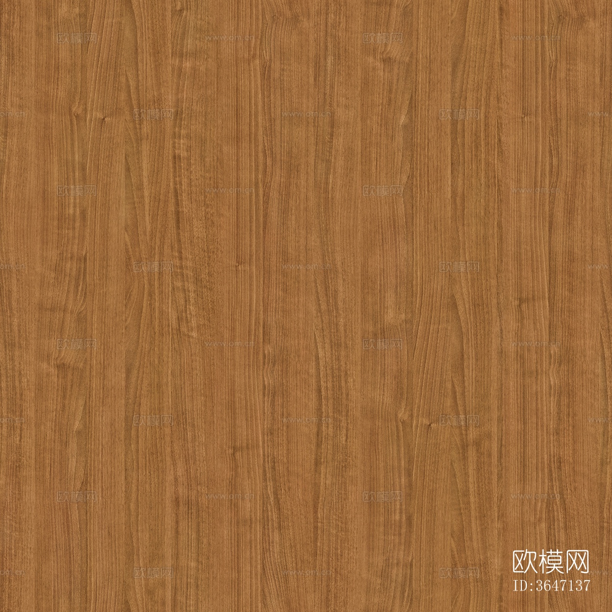 无缝木纹木饰面板材下载