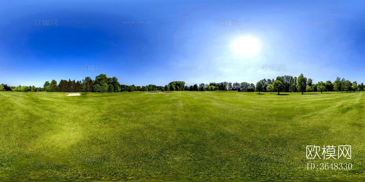 森林户外草坪下载