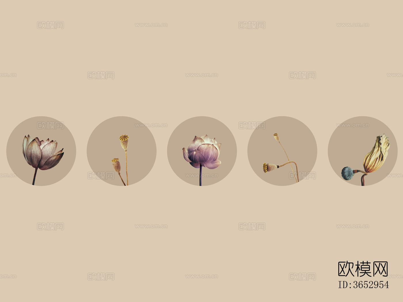 超清中式壁纸花鸟 荷壁画贴图下载