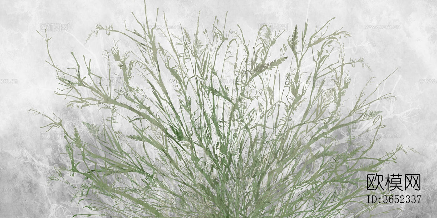 灰绿色植物壁纸下载