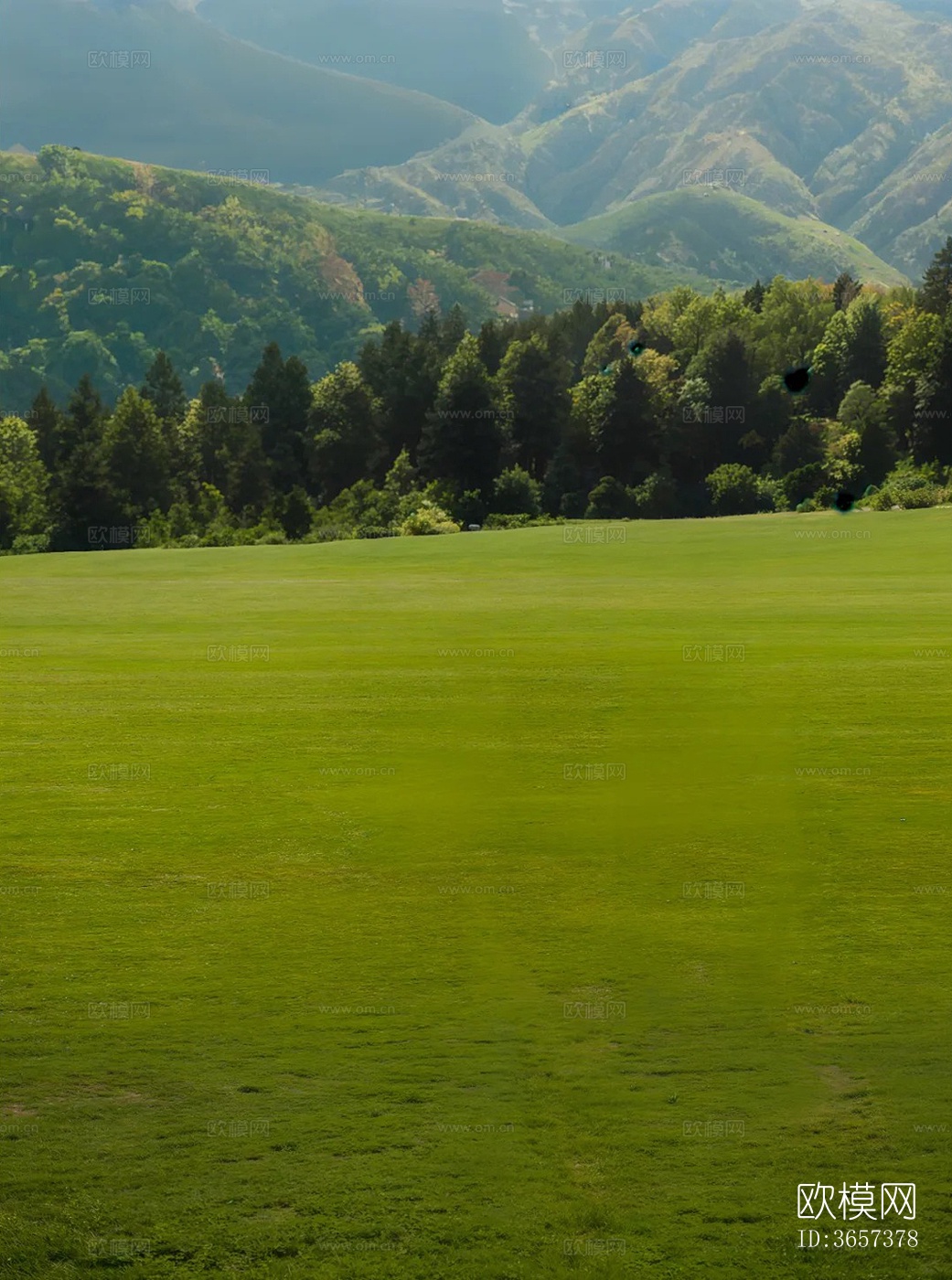 草地外景贴图下载