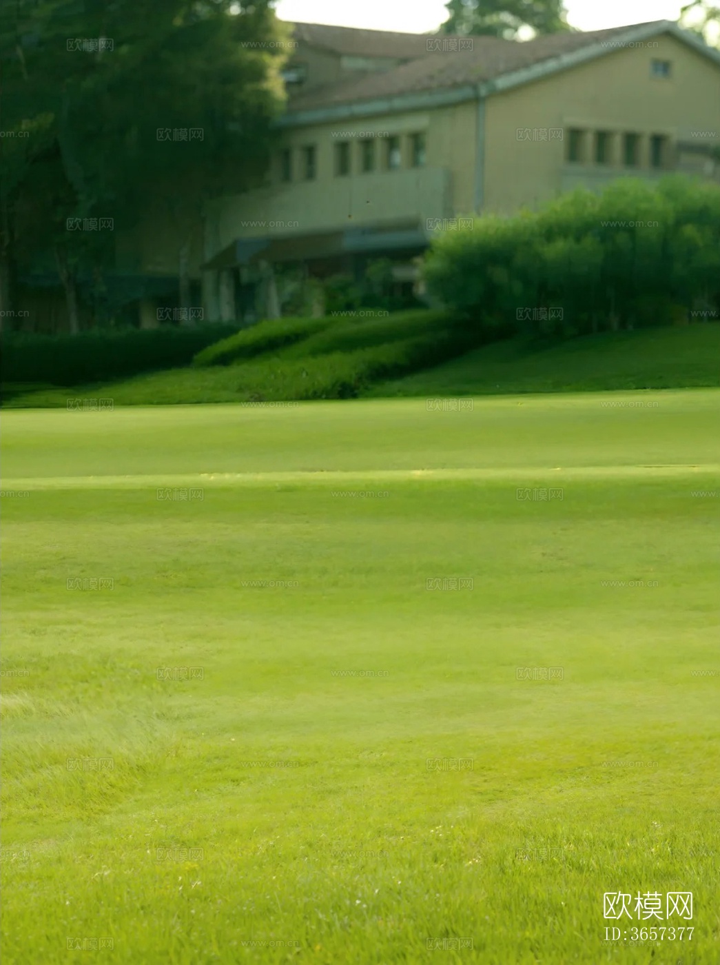 草地外景贴图下载